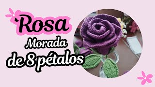 Rosa morada de 8 pétalos [upl. by Oconnor]