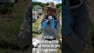 How to Monitor for Varroa Mites in Your Honey Bee Colonies [upl. by Adnot405]