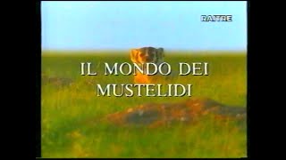 Il mondo dei mustelidi [upl. by Fern]