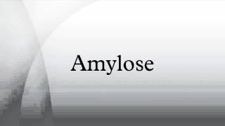 Amylose [upl. by Story169]