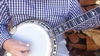 2007 Stelling Crusader Arch Top  Jim Britton Banjo [upl. by Margeaux205]