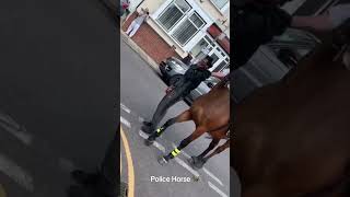 police horse in London shorts [upl. by Yaf]