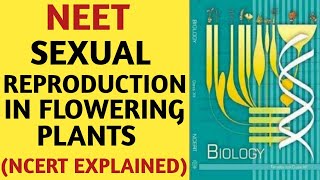 Sexual Reproduction In Flowering Plants Class 12NCERTChapter 02Quick Revision SeriesNEETAIIMS [upl. by Eelyme]