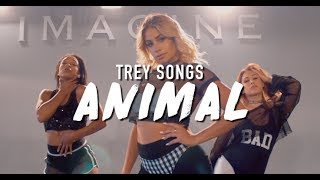 Trey Songz  Animal  Brinn Nicole Choreography [upl. by Anes]