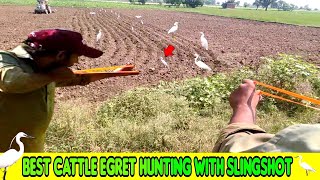 Best Cattle Egret Bird Hunting With Handmade Slingshot [upl. by Sitruk11]