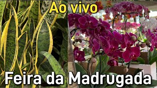 A maior Variedade de Plantas no Ceagesp  SP Promoções dia das Mães [upl. by Ilyse552]