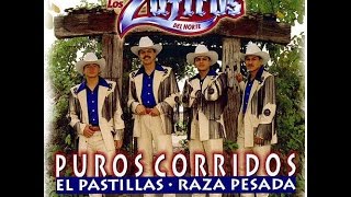 El Zorro  Los Zafiros Del NortePuro Corridos [upl. by Cobb]