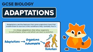 Adaptations  GCSE Biology [upl. by Slater]