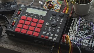 MPC 1000  Modular Live Setup  Way more fun than i thought [upl. by Oakleil]