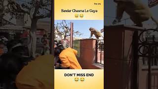 Bandar chashma lekar bhag Gaya 🙊🙉🙈souravjoshivlogs vlog shorts [upl. by Eicrad]