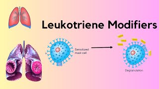 Leukotriene Receptor Antagonist [upl. by Assirahs]