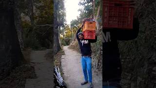 dene wala jab bhi deta comedy viral kumaoni comedy peas comedyvideos [upl. by Okoyk711]