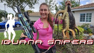 Iguana Hunting at South Florida Homes with Iguana Snipers [upl. by Llertniuq]