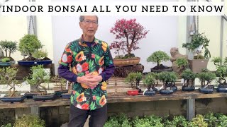 Indoor Bonsai All You Need To Know [upl. by Dobrinsky]