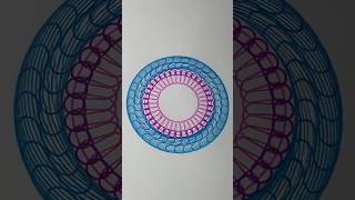 You Won’t Believe What This Simple Circle Becomes art 2024 spirograph shorts [upl. by Oileve]