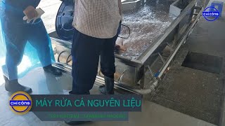 CHICONG Máy rửa cá nguyên liệu máy rửa cá công nghiệp máy rửa cá băng chuyền máy rửa [upl. by Fillian]