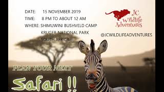 Simuwini Bushveld Camp Kruger National Park Night Sounds [upl. by Waylon]