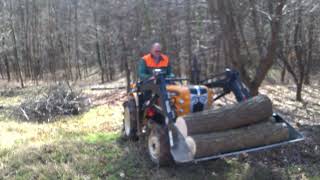 Holz vor der HütteMein Kleintraktor bei der Waldarbeitungarn52 [upl. by Nitsej]