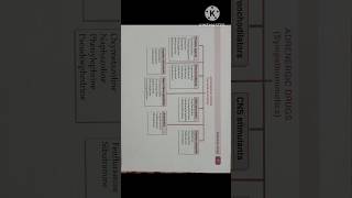 4 August 2024 Adrenergic Drug Sympathomimetics With preparation shortvideo shorts viralvideo [upl. by Adnofal]