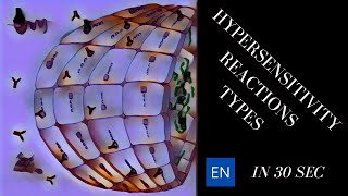 Hypersensitivity Reactions Types Shorts [upl. by Aseretairam]