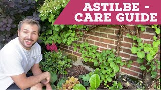 Astilbe Care Guide  7 Easy Steps [upl. by Katina]