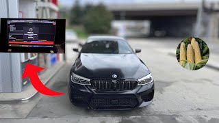 I FLASHED E85 TUNE ON MY BMW 54OI  MASSIVE POWER GAINS [upl. by Ydnas225]