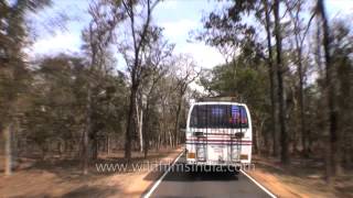 Driving from Kanha to Jabalpur in Madhya Pradesh [upl. by Doyle]