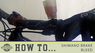 Shimano Brake Bleeding  How to Guide [upl. by Ayitahs]