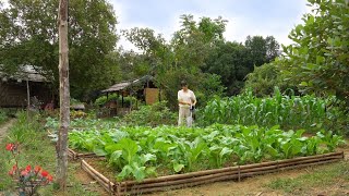 Full Video 90 Days of Farm Life Farming Garden Harvesting Cooking Animal Care [upl. by Ober]