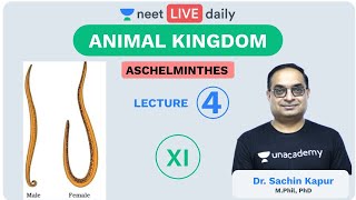 Animal Kingdom  L4  Aschelminthes  Unacademy NEET  NEET LIVE DAILY  NEET Biology  Sachin Sir [upl. by Evelin]