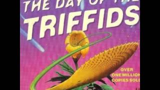 John Wyndham  The Day of the Triffids  Audiobook full [upl. by Vladamar390]