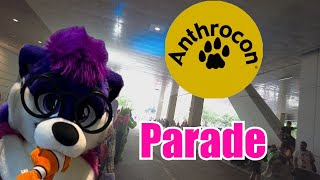 Anthrocon 2024 Fursuit Parade Otter Perspective [upl. by Lias]