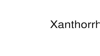 How to pronounce Xanthorrhoeaceae [upl. by Sinoda]