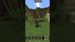 Leveling monster opening in minecraft mod [upl. by Anilehcim]