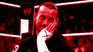 CM Punk 13th Titantron 20122014 HD [upl. by Eelyma]