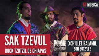 SAK TZEVUL rock tzotzil de Chiapas Tema Xchulel Balamil  Son sotzleb [upl. by Harday61]