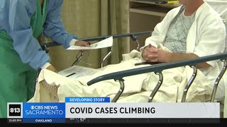 COVID cases climb in Northern California as new variant spreads [upl. by Aiker852]