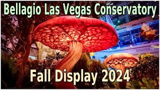 Bellagio Las Vegas Fall Display 2024  AMAZING [upl. by Akanke]