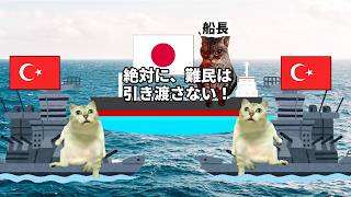 【歴史に残る絆】日本人が知らない超親日国トップ3！猫マニ 猫ミーム [upl. by Ariek869]