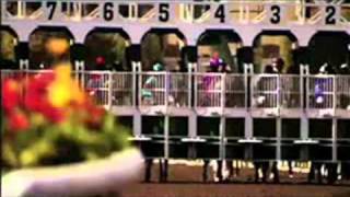 Kentucky Derby Horse Betting  Bet Churchill Downs Track Odds [upl. by Rudie253]