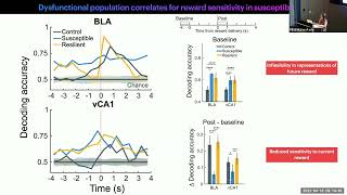 Decoding Stress Susceptibility From Activity in AmygdalaVentral Hippocampal Networks [upl. by Timothy]