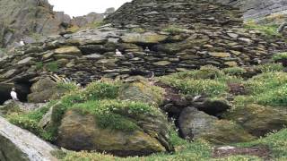 Skellig Michael island Star Wars location amp UNESCO world heritage site 1 [upl. by Salomi]