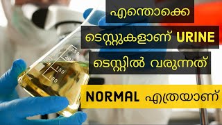 Important Urine Tests and Normal Values Explained in Malayalam [upl. by Mckenna87]