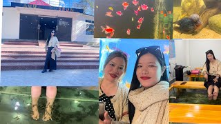 India First Aqua Museum at Ziro Valley  Enjoyable amp wonderful moments with Siso❤️ Northeast [upl. by Ylelhsa224]