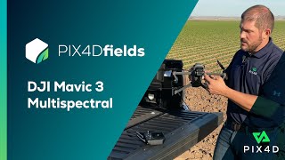 How to use DJI Mavic 3 Multispectral  PIX4Dfields infield Tutorials [upl. by Yuu]