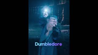 Albus Dumbledore vs Gellert Grindelwald [upl. by Harrie110]