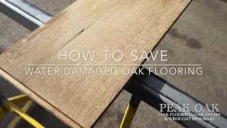 How To Save Water Damaged Oak Flooring [upl. by Chernow751]