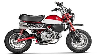 BRAND NEW 2019 HONDA MONKEY [upl. by Ocker]