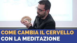 Come cambia il cervello con la meditazione [upl. by Manya896]