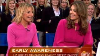 Liz Hurleys Cancer Campaign [upl. by Airotahs80]